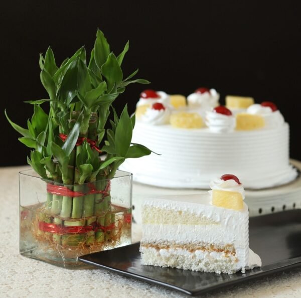 Pineapple Cake N Lucky Bamboo